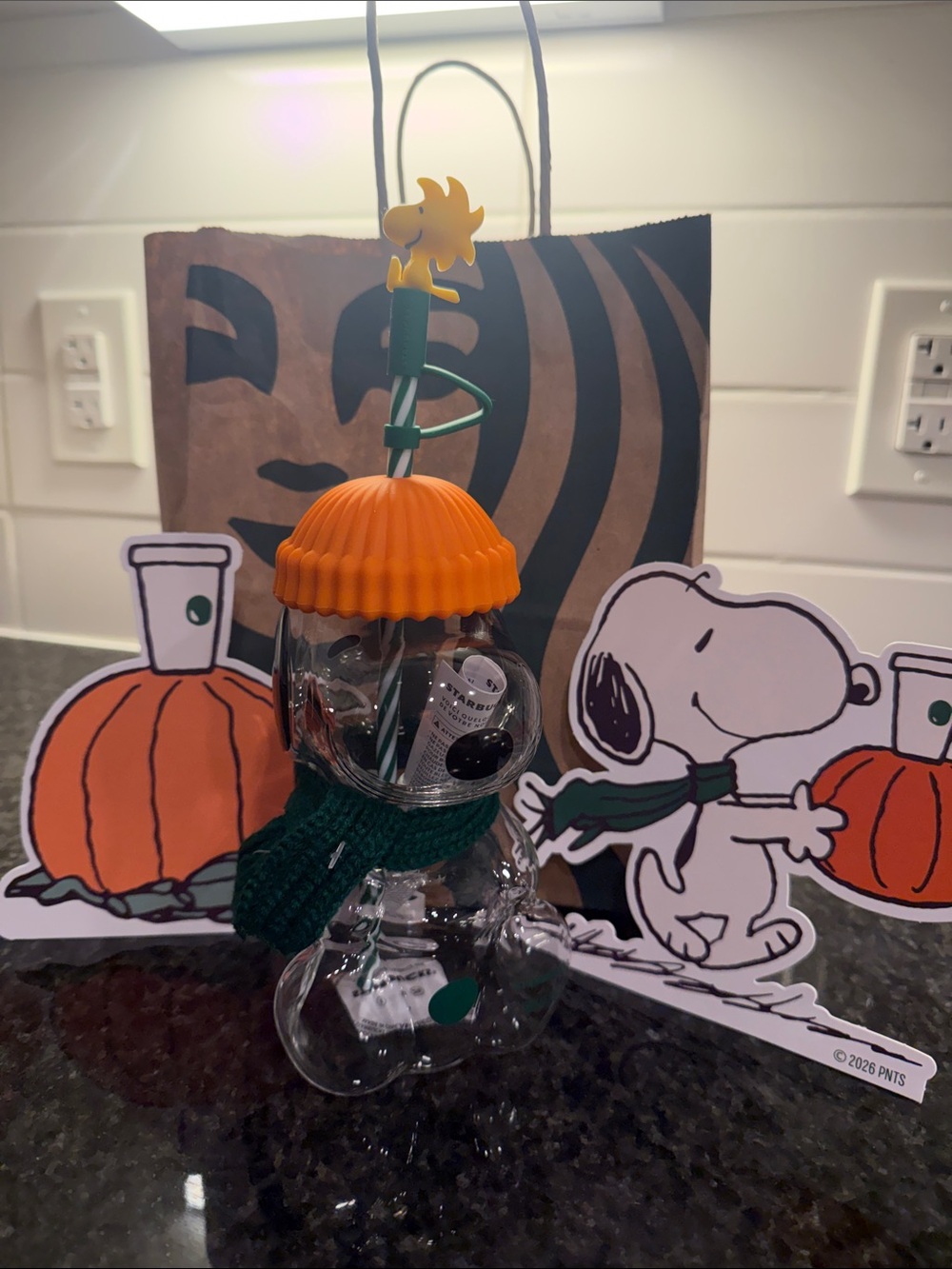 Starbucks Clear Snoopy Tumbler with Orange Lid & Green Straw